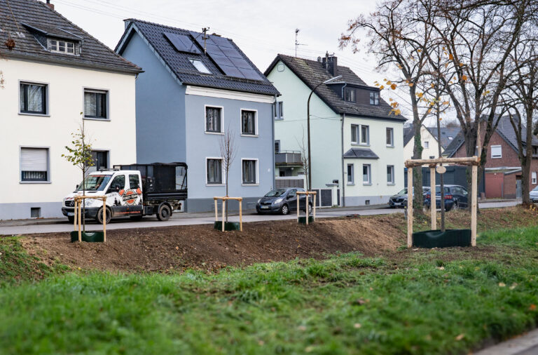 Die ersten gepflanzten Bäume in der Bachstraße in Swisttal-Heimerzheim