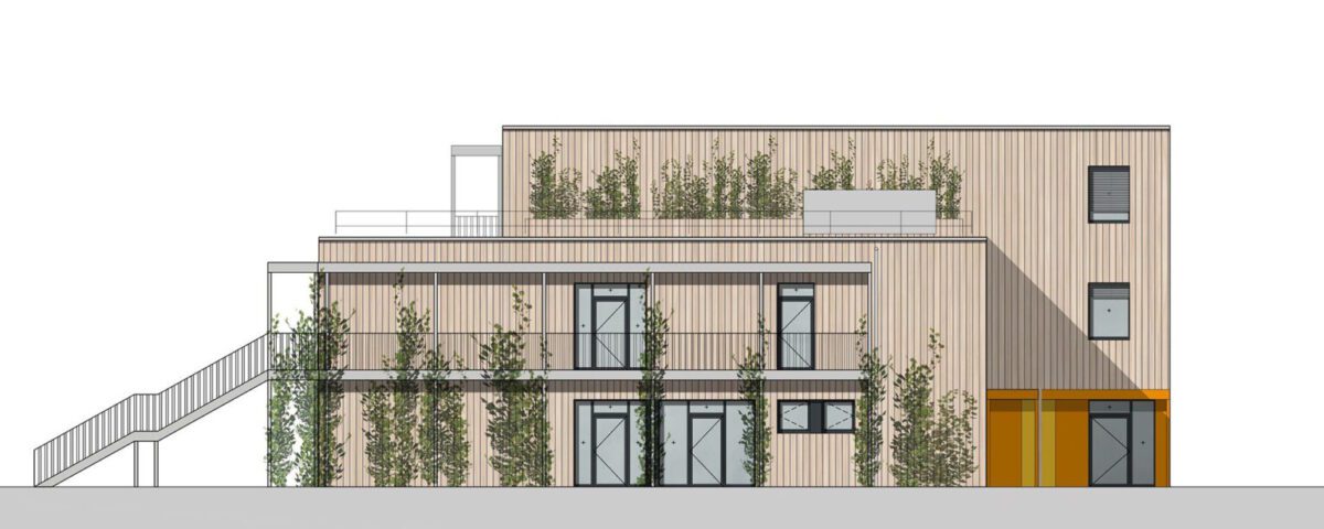 Moderner Holzbau mit grünen Pflanzen, Ostansicht mit Flachdach und großen Fenstern, minimalistisches Design.