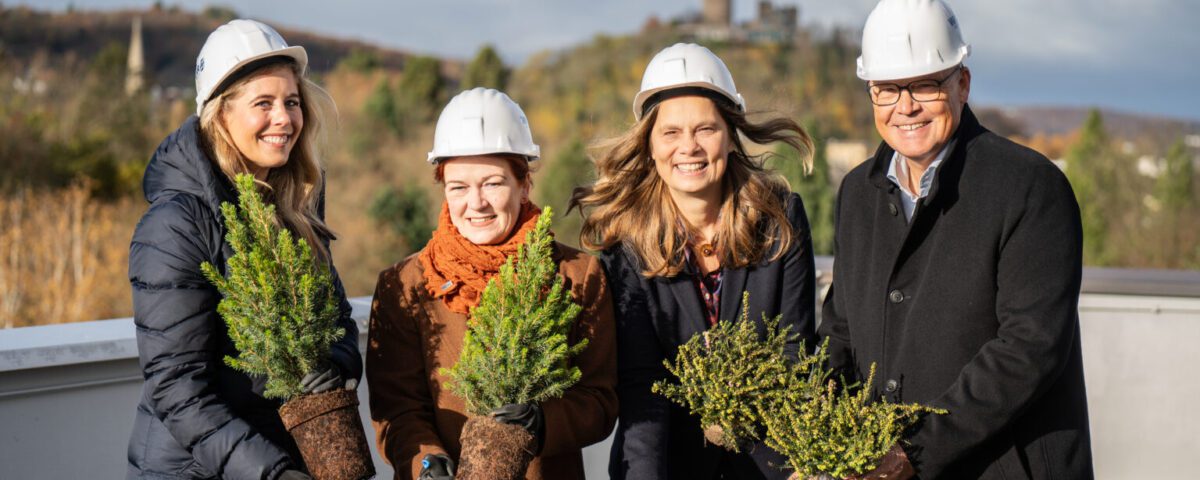 Vier Personen mit Helmen pflanzen Bäume bei einer symbolischen Pflanzzeremonie auf einem Dach mit Natur im Hintergrund.