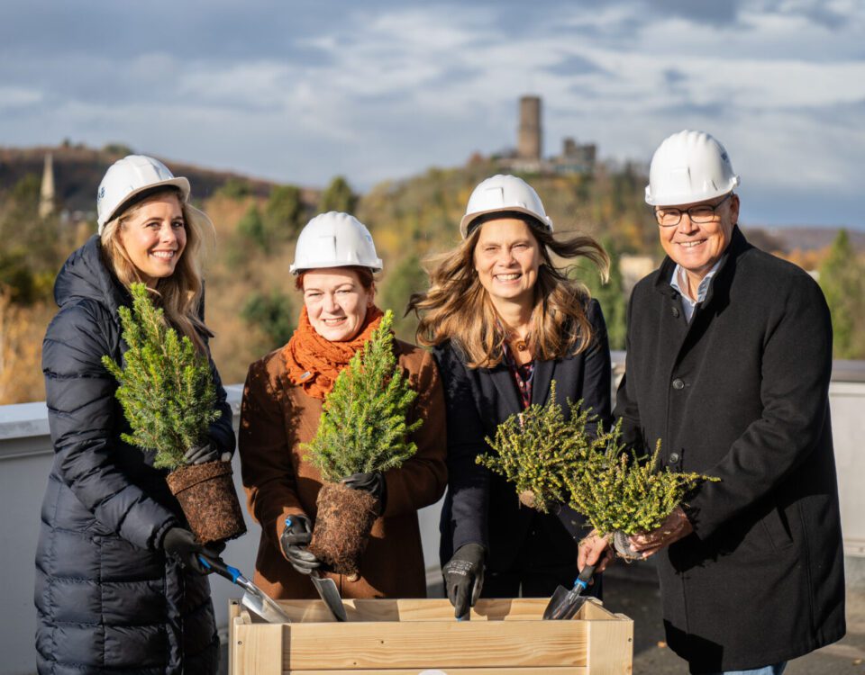 Vier Personen mit Helmen pflanzen Bäume bei einer symbolischen Pflanzzeremonie auf einem Dach mit Natur im Hintergrund.