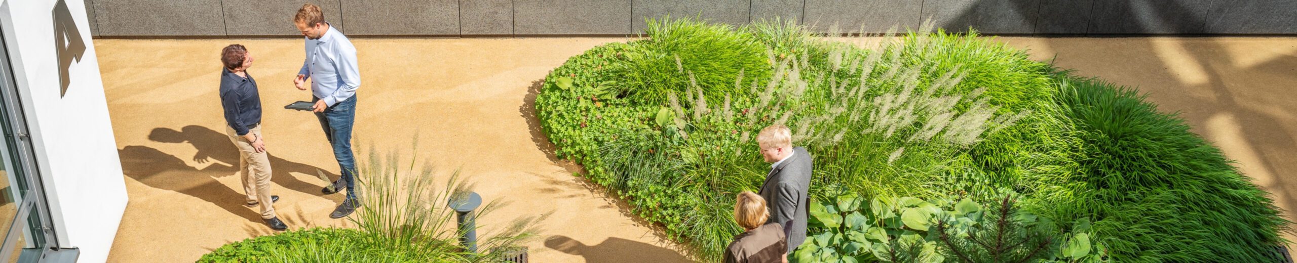Menschen unterhalten sich in einem begrünten Innenhof bei sonnigem Wetter vor einem modernen Gebäude.