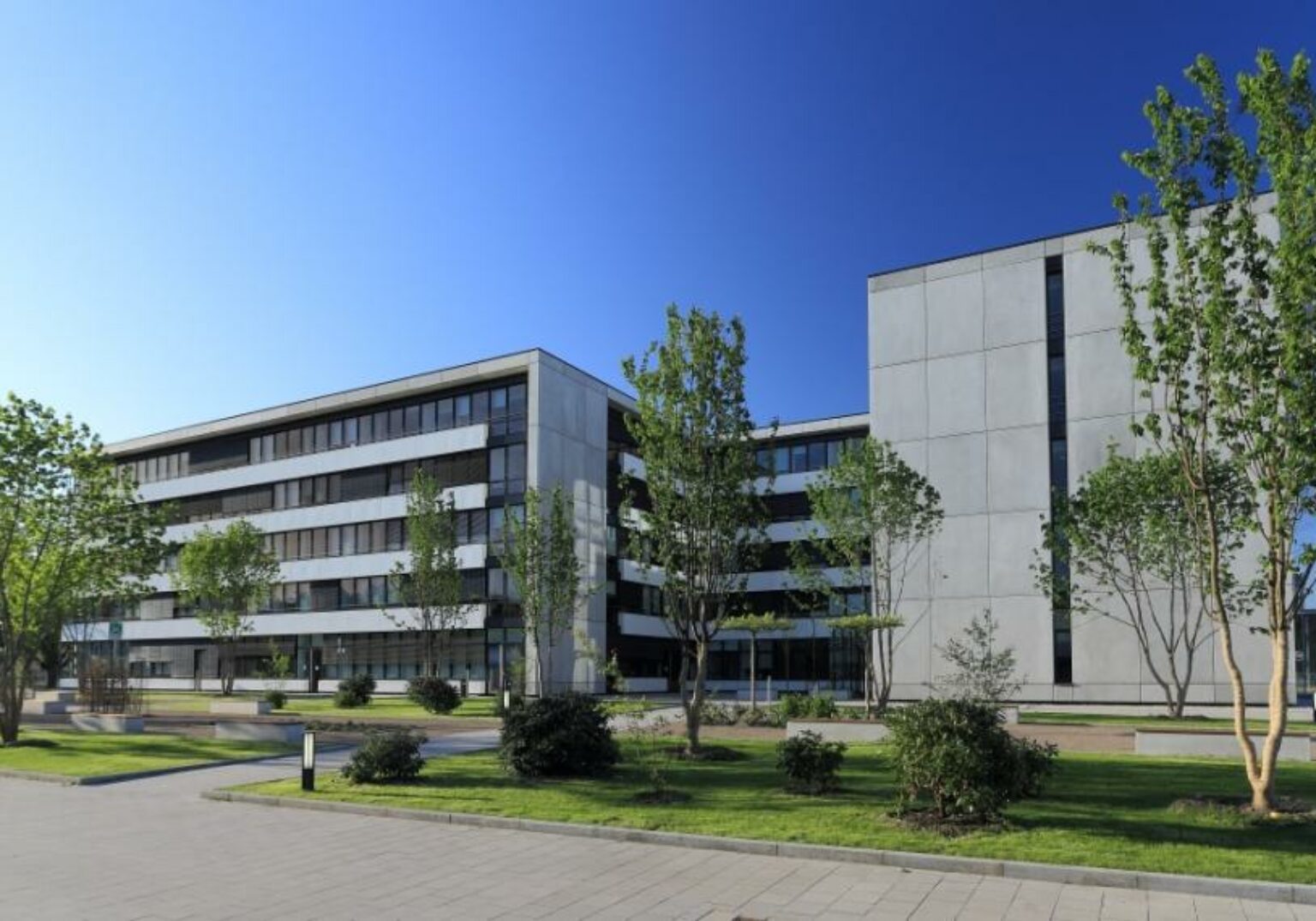 Moderner Bürokomplex mit grüner Umgebung und blauem Himmel. Großzügige, lichtdurchflutete Architektur.