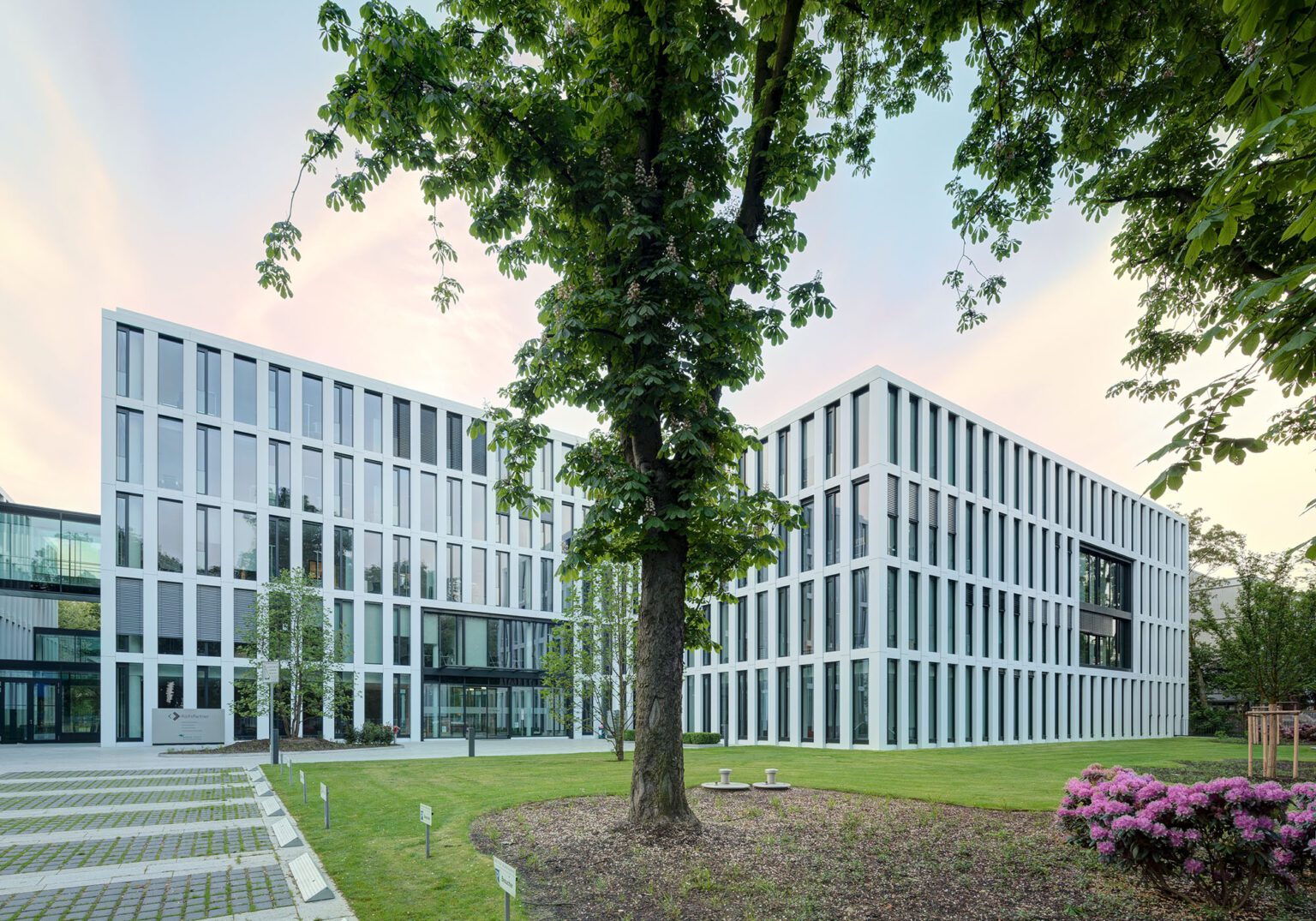 Moderne Bürogebäude mit Glasfassade in grüner Umgebung bei Sonnenuntergang, zentraler Baum im Vordergrund.