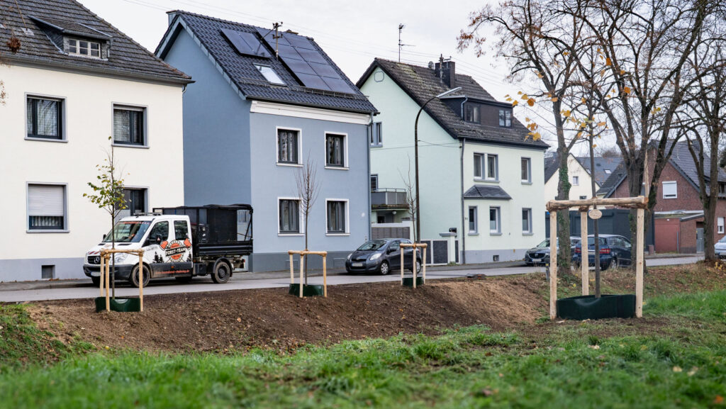 Kamelleböm_FB-Webseite Wohnstraße mit neu gepflanzten Bäumen vor Häusern und geparktem Firmenfahrzeug im Hintergrund.