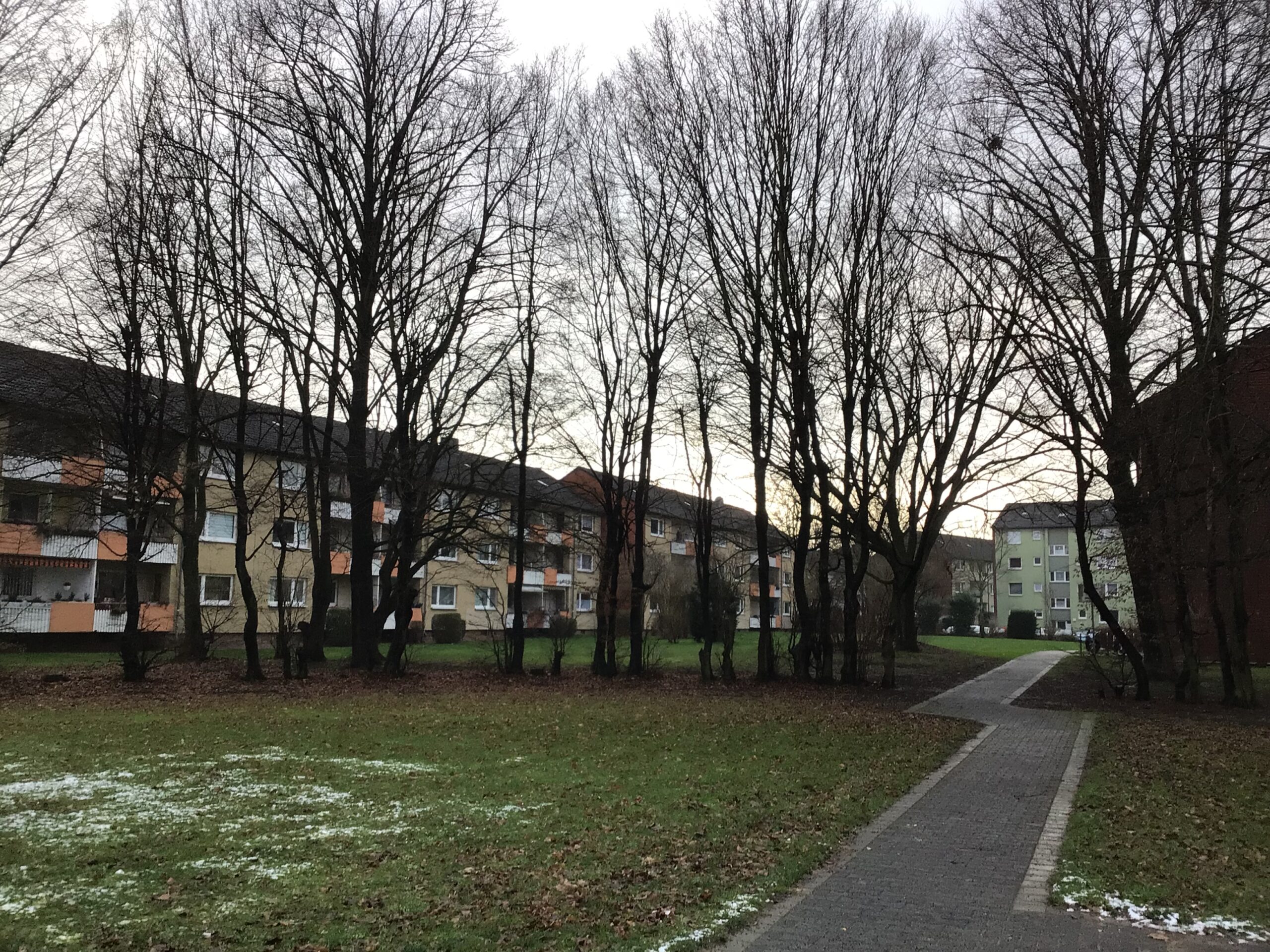 Vorherige Freianlagen in der Wohnsiedlung Köln-Holweide.