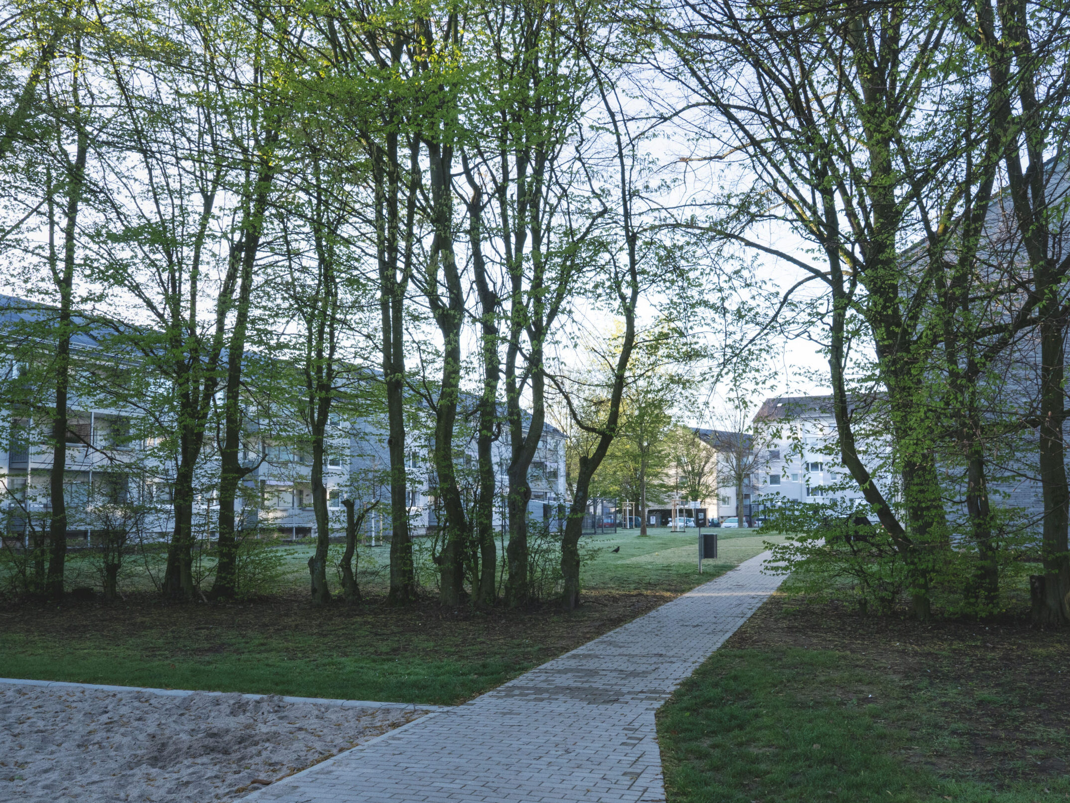 Neue Außenanalgen in der Wohnsiedlung Köln-Holweide